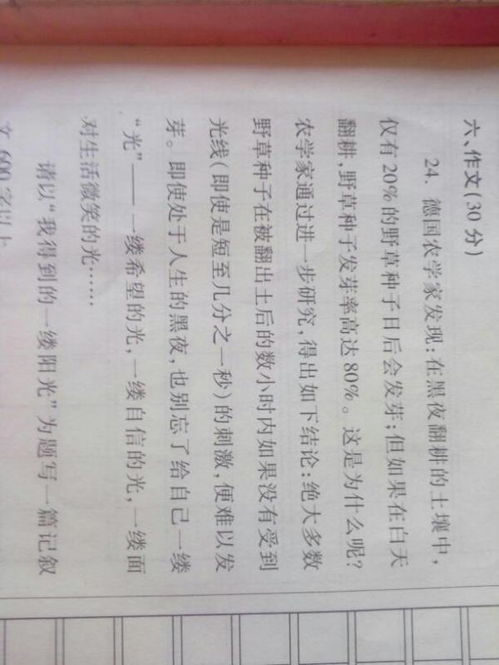 那一次我收獲了什么600字作文開頭