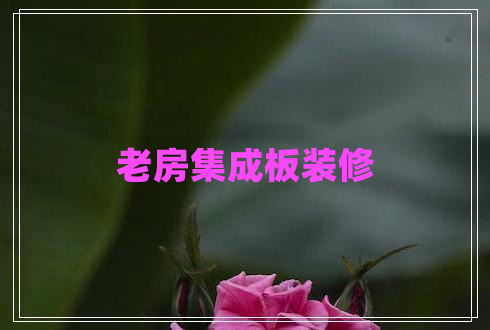 老房集成板裝修