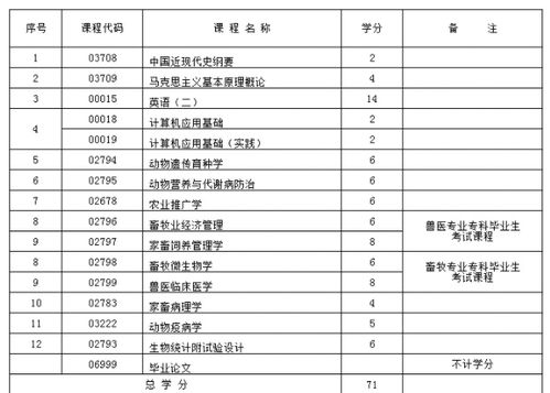 新疆自考什么本科專業(yè)