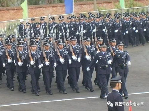 江蘇司法警校學(xué)生自考本科