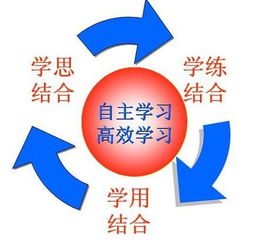 自考本科學習經(jīng)歷怎么寫