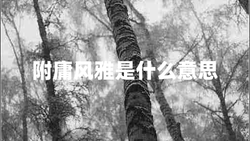 附庸風(fēng)雅是什么意思