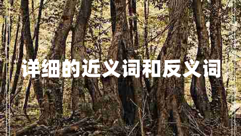 詳細(xì)的近義詞和反義詞