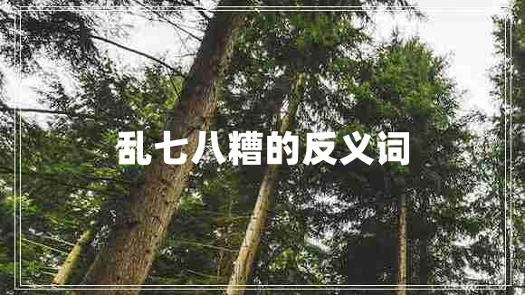 亂七八糟的反義詞