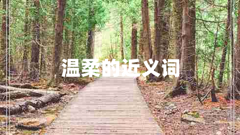 溫柔的近義詞