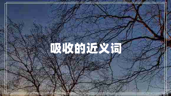 吸收的近義詞