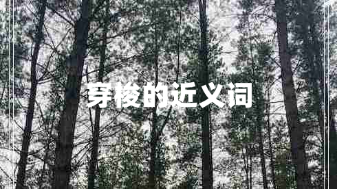 穿梭的近義詞