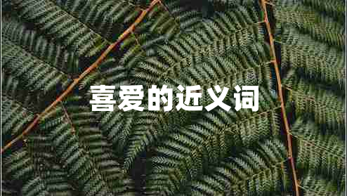 喜愛的近義詞