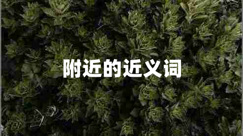 附近的近義詞