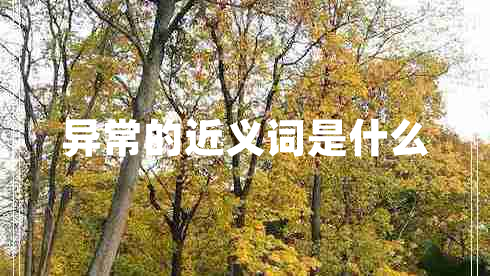 異常的近義詞是什么