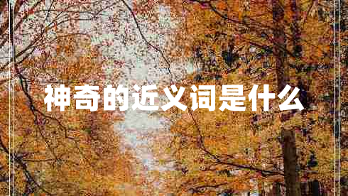 神奇的近義詞是什么