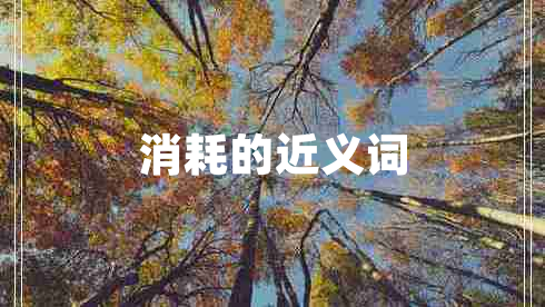 消耗的近義詞