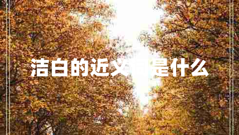 潔白的近義詞是什么