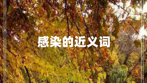 感染的近義詞