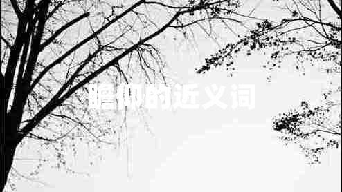 瞻仰的近義詞