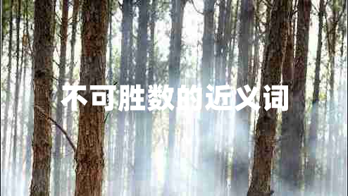 不可勝數(shù)的近義詞