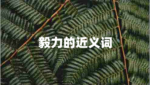 毅力的近義詞