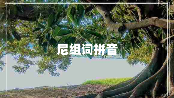 尼組詞拼音