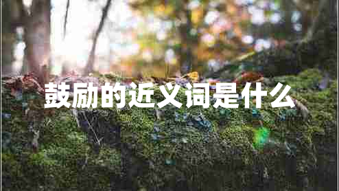 鼓勵(lì)的近義詞是什么