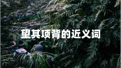 望其項(xiàng)背的近義詞