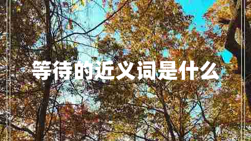 等待的近義詞是什么