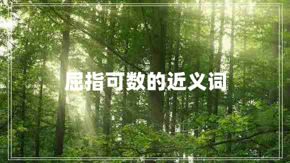 屈指可數(shù)的近義詞