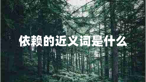 依賴的近義詞是什么