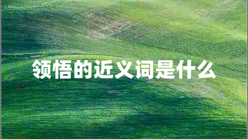 領(lǐng)悟的近義詞是什么