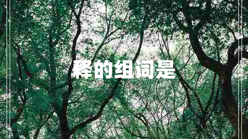 釋的組詞是