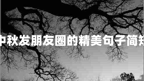 中秋發(fā)朋友圈的精美句子簡短