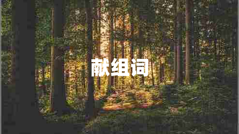 獻(xiàn)組詞