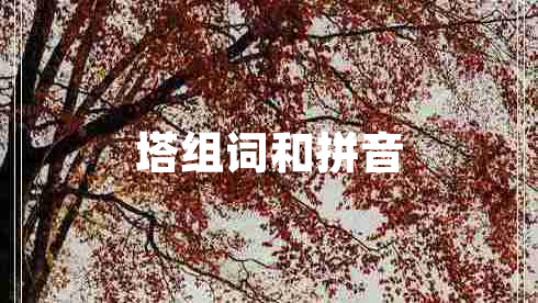 塔組詞和拼音