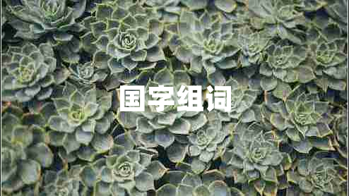 國(guó)字組詞