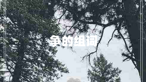 爭(zhēng)的組詞