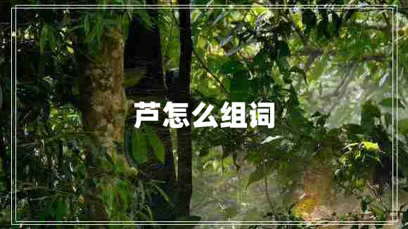 蘆怎么組詞