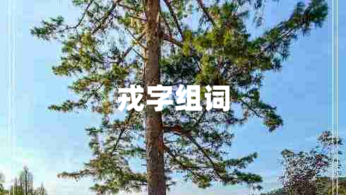 戎字組詞