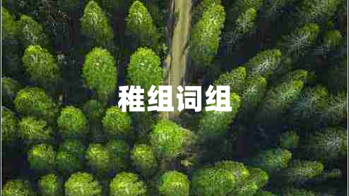 稚組詞組