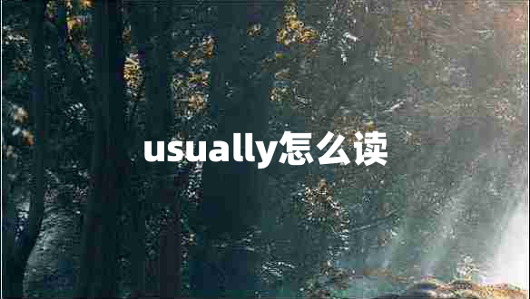 usually怎么讀