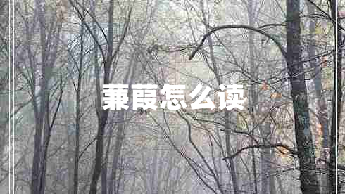 蒹葭怎么讀