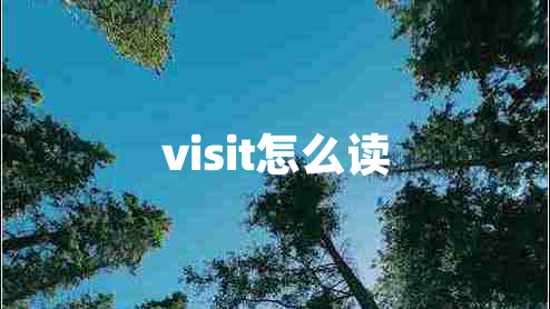 visit怎么讀