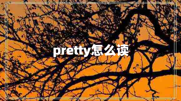 pretty怎么讀