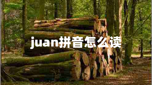 juan拼音怎么讀