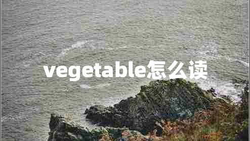 vegetable怎么讀