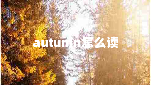 autumn怎么讀