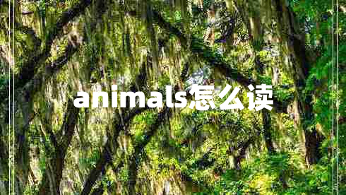 animals怎么讀