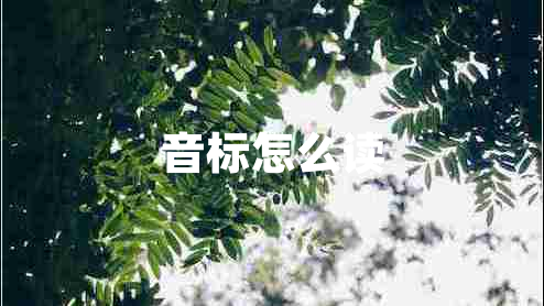 音標(biāo)怎么讀