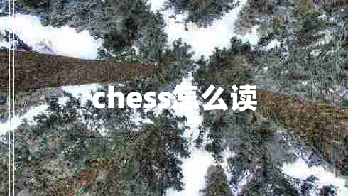 chess怎么讀