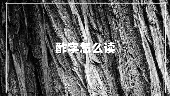 酢字怎么讀