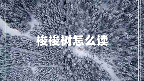 梭梭樹怎么讀