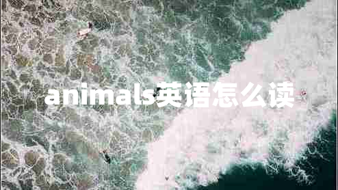 animals英語怎么讀